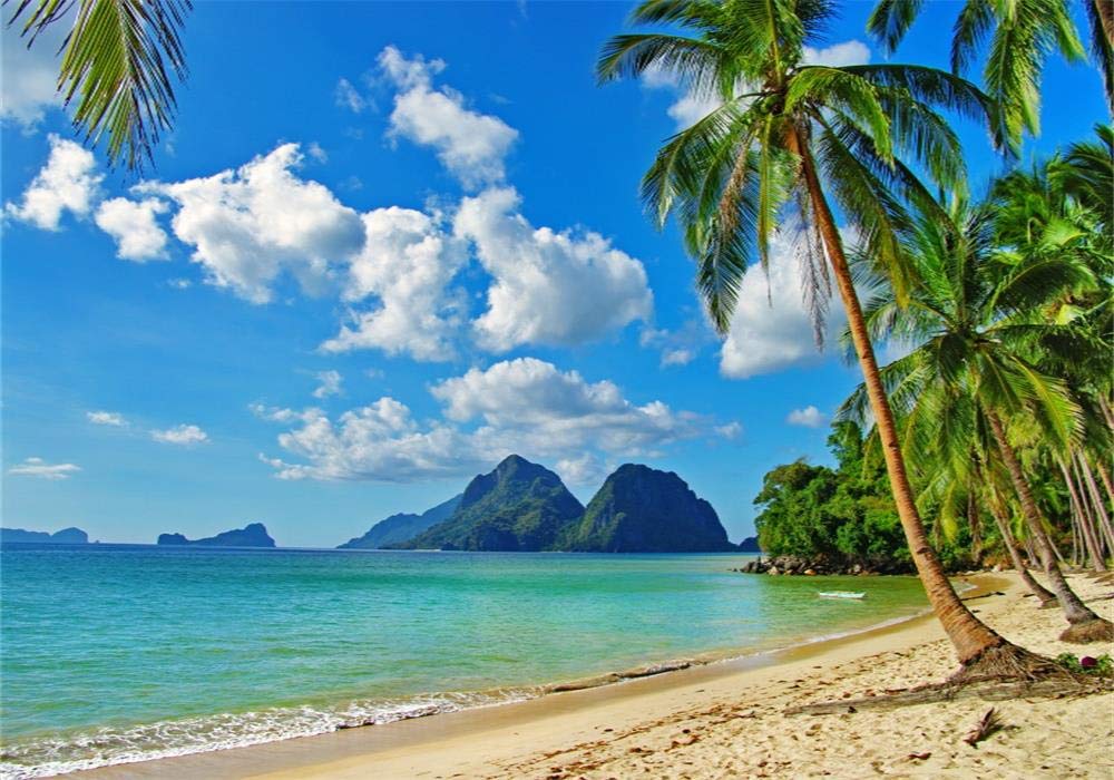 Amazon | Qinunipoto 背景布 夏の熱帯の島 ビーチ南国 トロピカル 2.1m